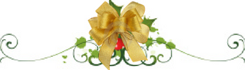 holly-gold-bow