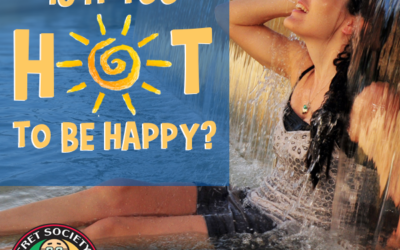 Is It TOO HOT To Be Happy?